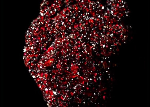 The Beating Heart of Schiaparelli