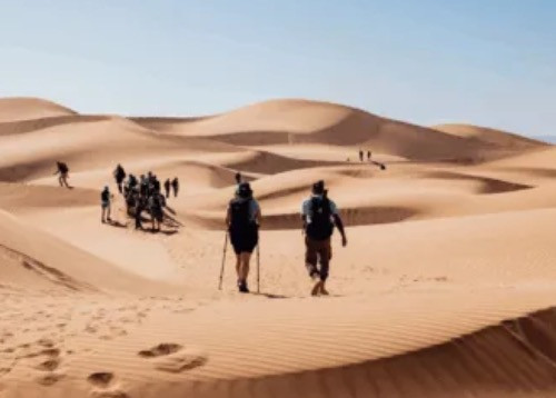 Jewellery professionals complete 100km Sahara trek for The Benevolent Society