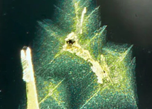 Starburst Inclusions in Yellow Diamond Leave GIA Stumped